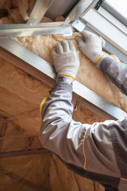 Best Residential Insulation in Glasgow, MO